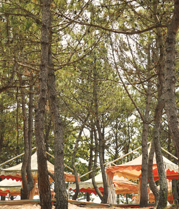 CAMPING