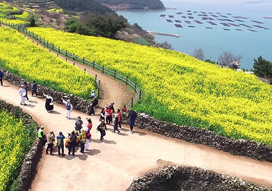 청산도