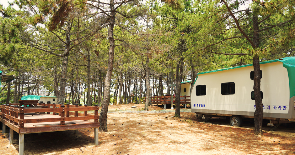 CARAVAN